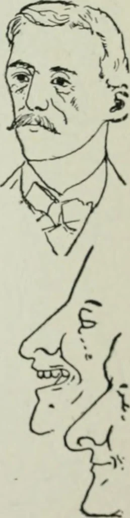 An illustration from Descriptive mentality from the head, face and hand, 1899, leaf 117