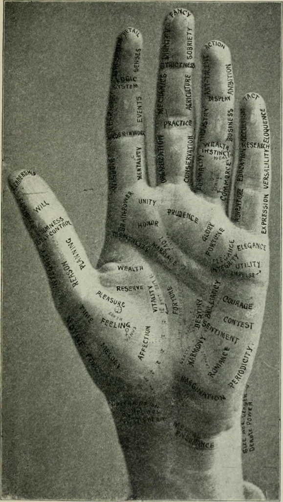 An illustration from Descriptive mentality from the head, face and hand, 1899, leaf 127