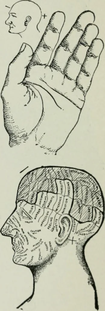 An illustration from Descriptive mentality from the head, face and hand, 1899, leaf 133