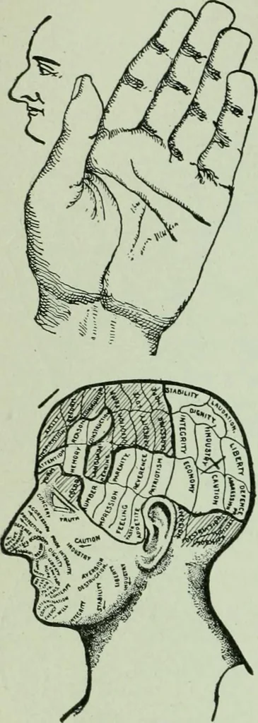 An illustration from Descriptive mentality from the head, face and hand, 1899, leaf 134