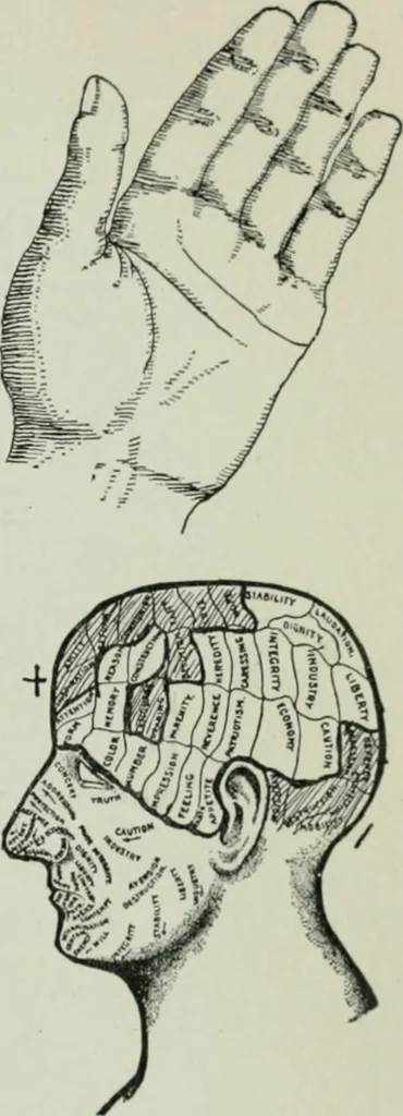 An illustration from Descriptive mentality from the head, face and hand, 1899, leaf 135