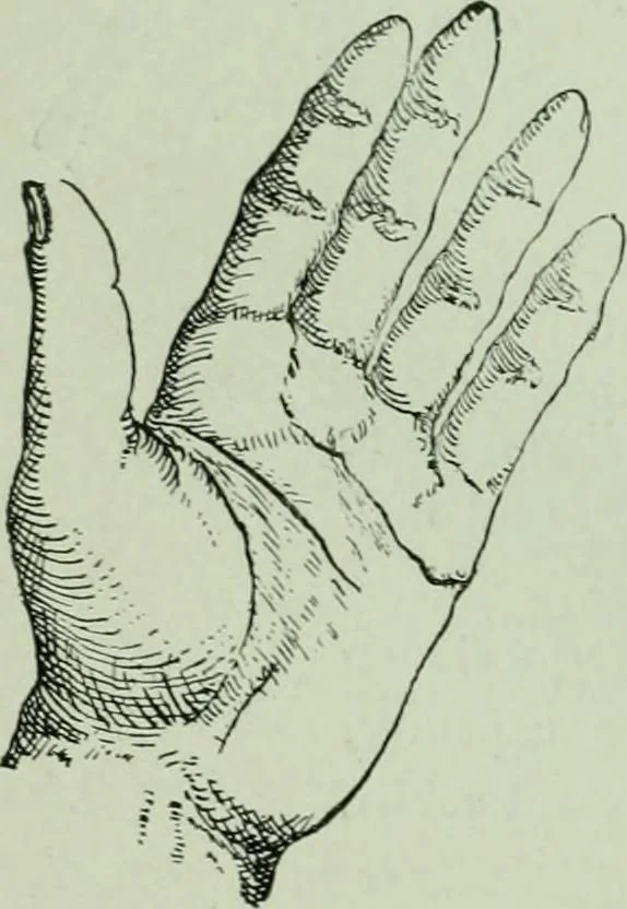 An illustration from Descriptive mentality from the head, face and hand, 1899, leaf 136