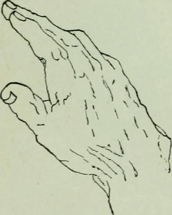 An illustration from Descriptive mentality from the head, face and hand, 1899, leaf 138