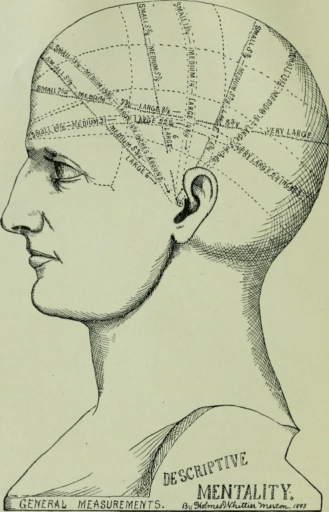 An illustration from Descriptive mentality from the head, face and hand, 1899, leaf 14