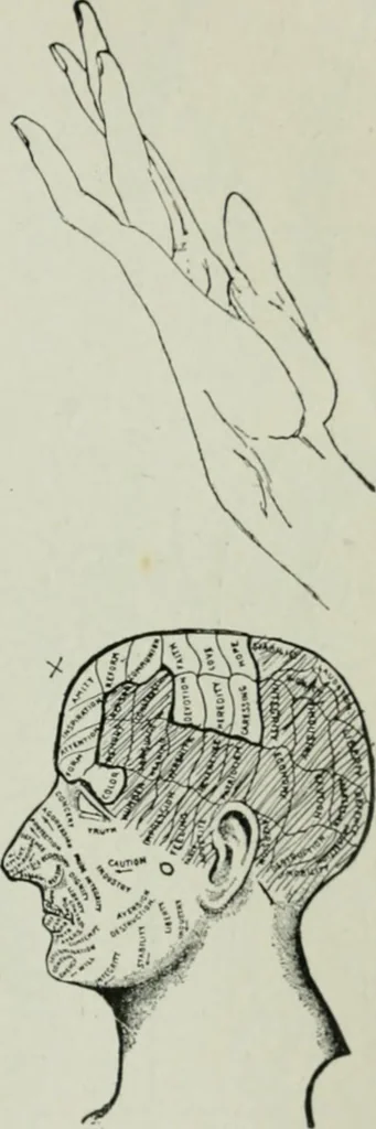 An illustration from Descriptive mentality from the head, face and hand, 1899, leaf 141