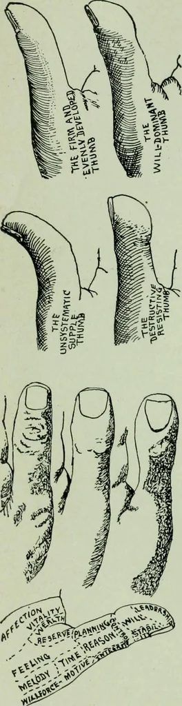 An illustration from Descriptive mentality from the head, face and hand, 1899, leaf 142
