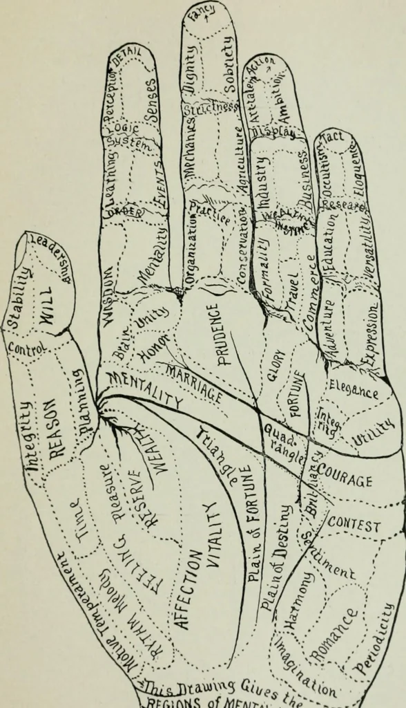 An illustration from Descriptive mentality from the head, face and hand, 1899, leaf 145