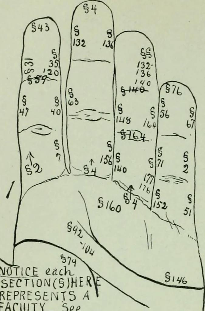 An illustration from Descriptive mentality from the head, face and hand, 1899, leaf 146