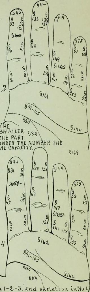 An illustration from Descriptive mentality from the head, face and hand, 1899, leaf 146