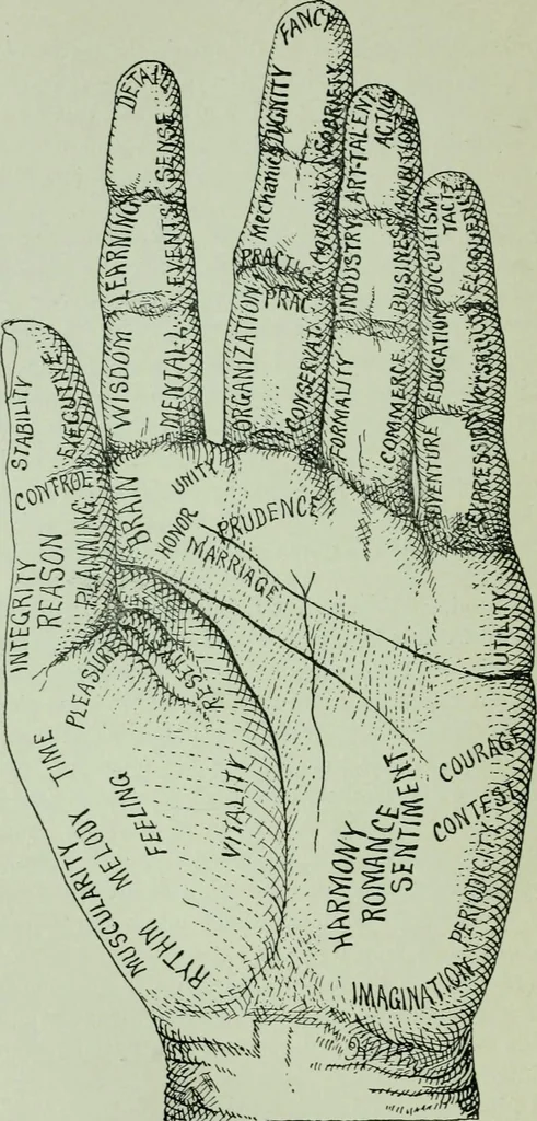 An illustration from Descriptive mentality from the head, face and hand, 1899, leaf 152