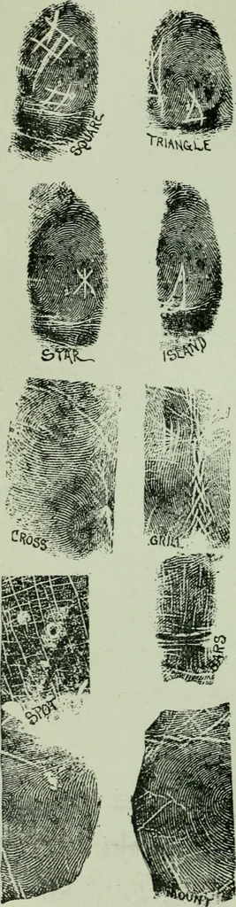 An illustration from Descriptive mentality from the head, face and hand, 1899, leaf 162
