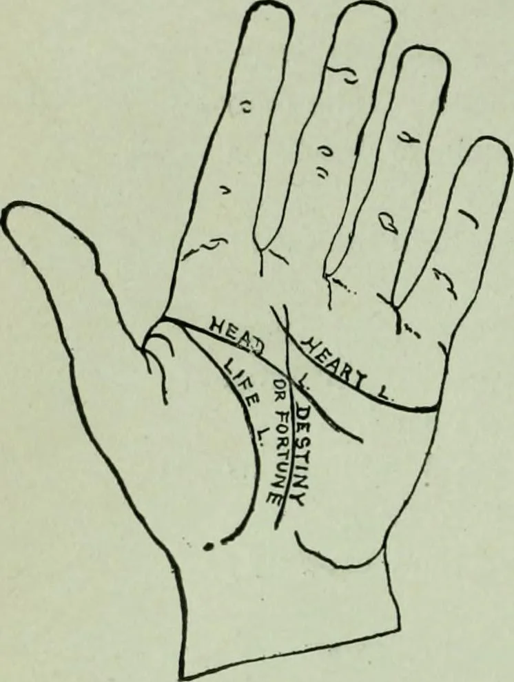 An illustration from Descriptive mentality from the head, face and hand, 1899, leaf 166