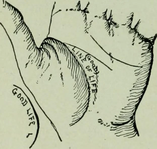 An illustration from Descriptive mentality from the head, face and hand, 1899, leaf 166
