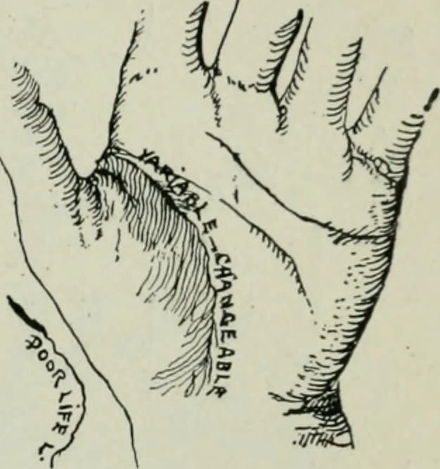 An illustration from Descriptive mentality from the head, face and hand, 1899, leaf 167