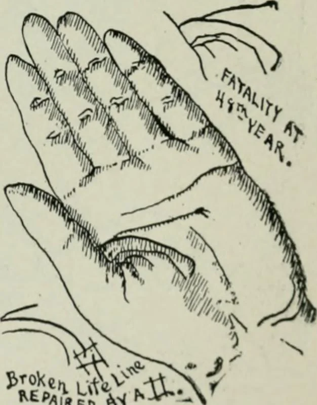 An illustration from Descriptive mentality from the head, face and hand, 1899, leaf 167