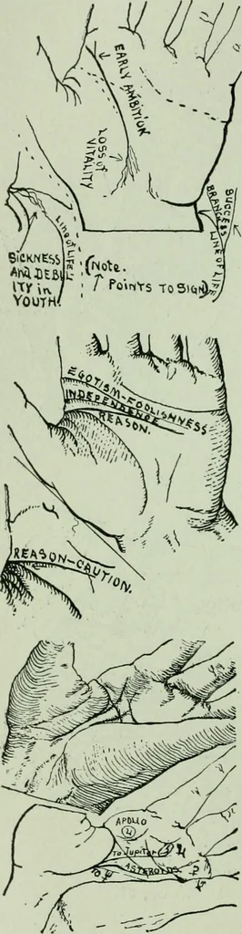 An illustration from Descriptive mentality from the head, face and hand, 1899, leaf 168