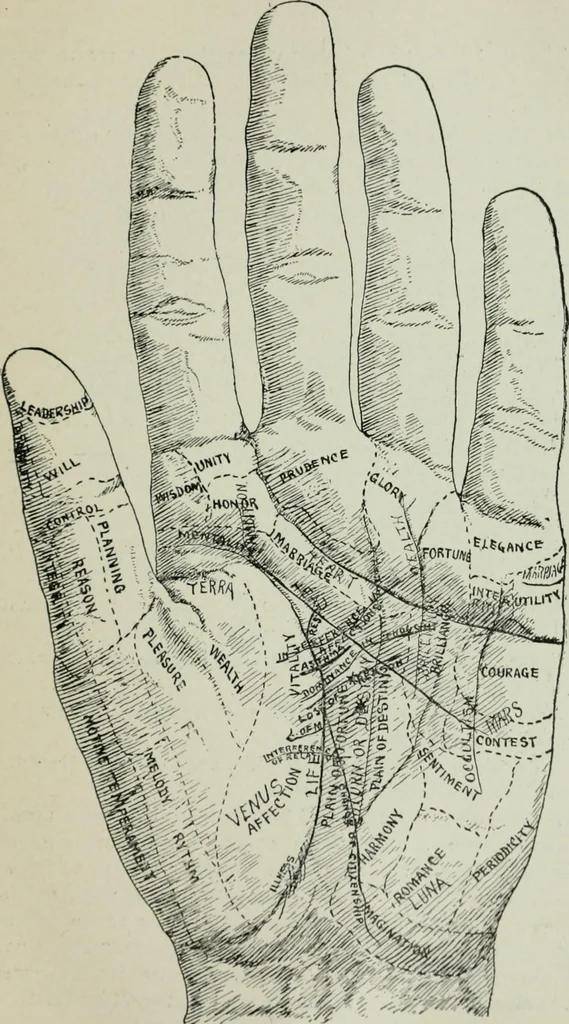 An illustration from Descriptive mentality from the head, face and hand, 1899, leaf 169