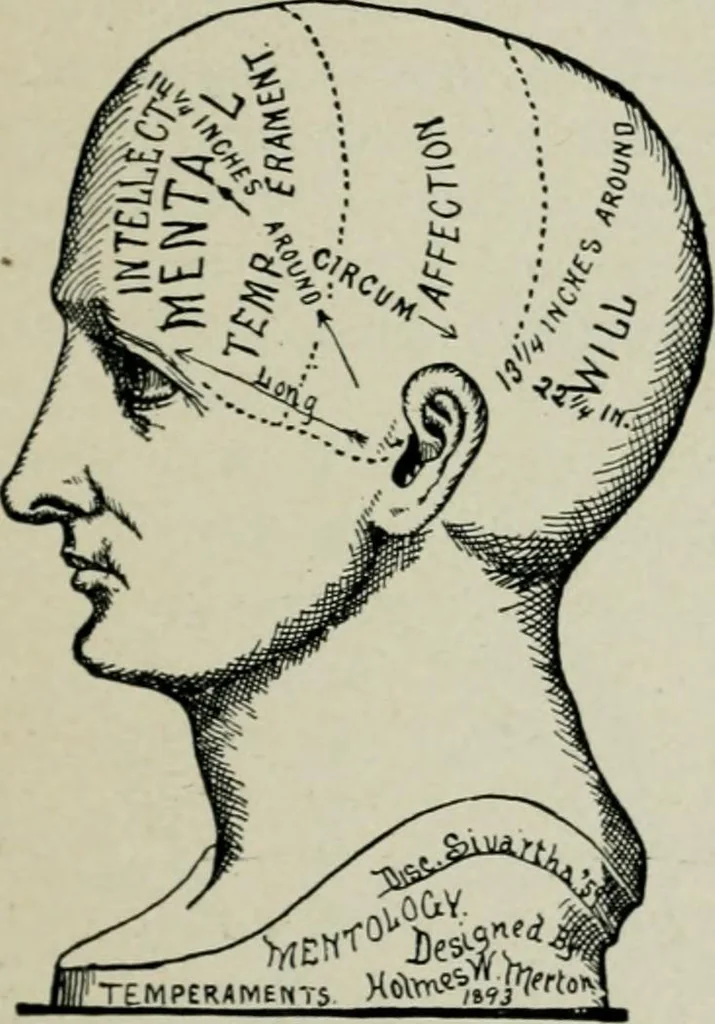 An illustration from Descriptive mentality from the head, face and hand, 1899, leaf 17