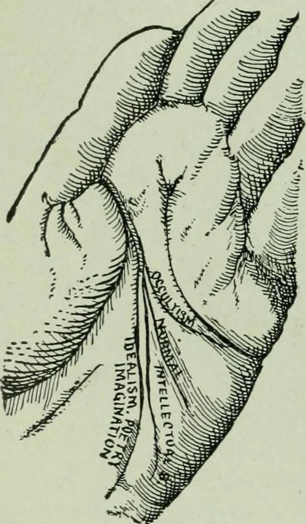 An illustration from Descriptive mentality from the head, face and hand, 1899, leaf 172