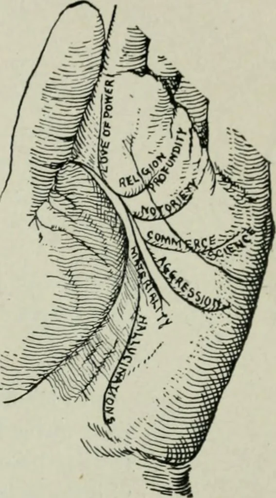 An illustration from Descriptive mentality from the head, face and hand, 1899, leaf 173
