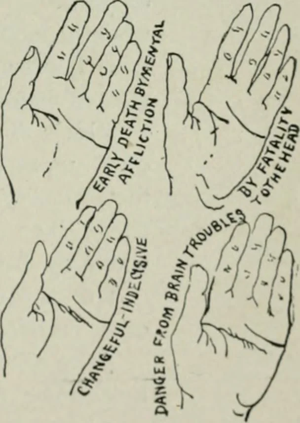 An illustration from Descriptive mentality from the head, face and hand, 1899, leaf 173