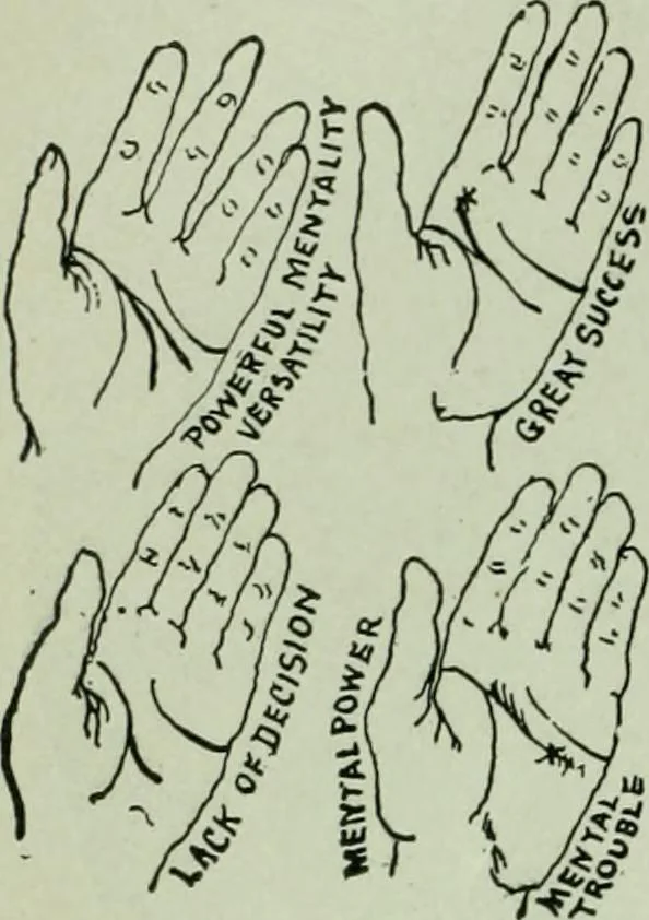 An illustration from Descriptive mentality from the head, face and hand, 1899, leaf 174