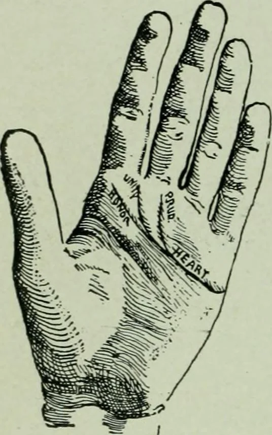 An illustration from Descriptive mentality from the head, face and hand, 1899, leaf 176
