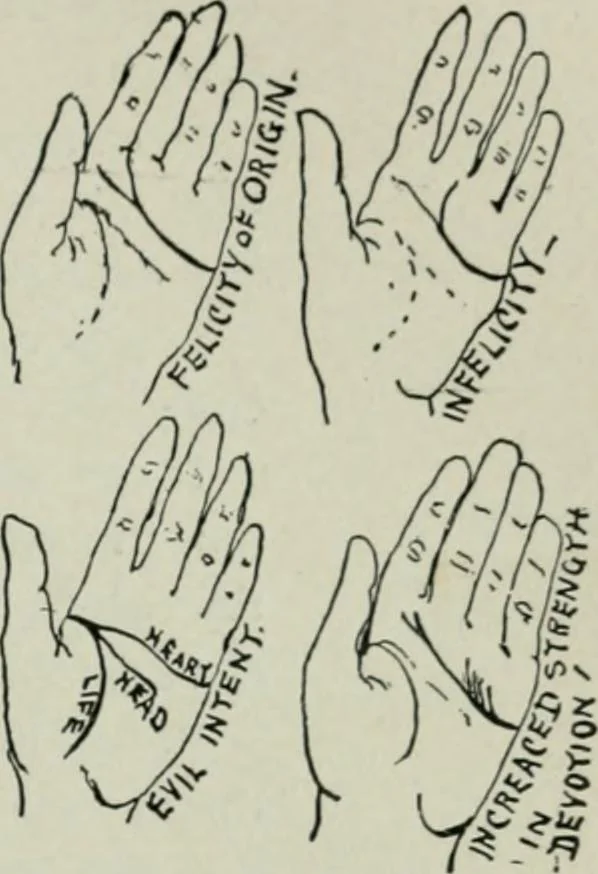 An illustration from Descriptive mentality from the head, face and hand, 1899, leaf 177
