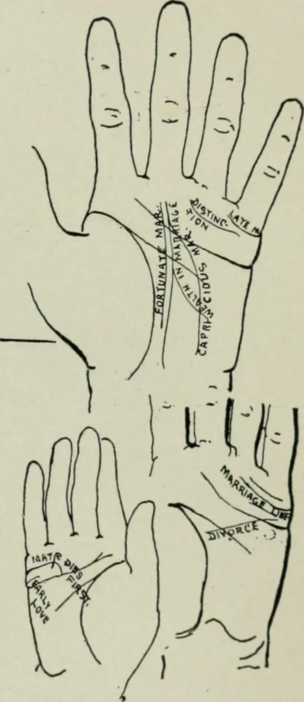 An illustration from Descriptive mentality from the head, face and hand, 1899, leaf 179