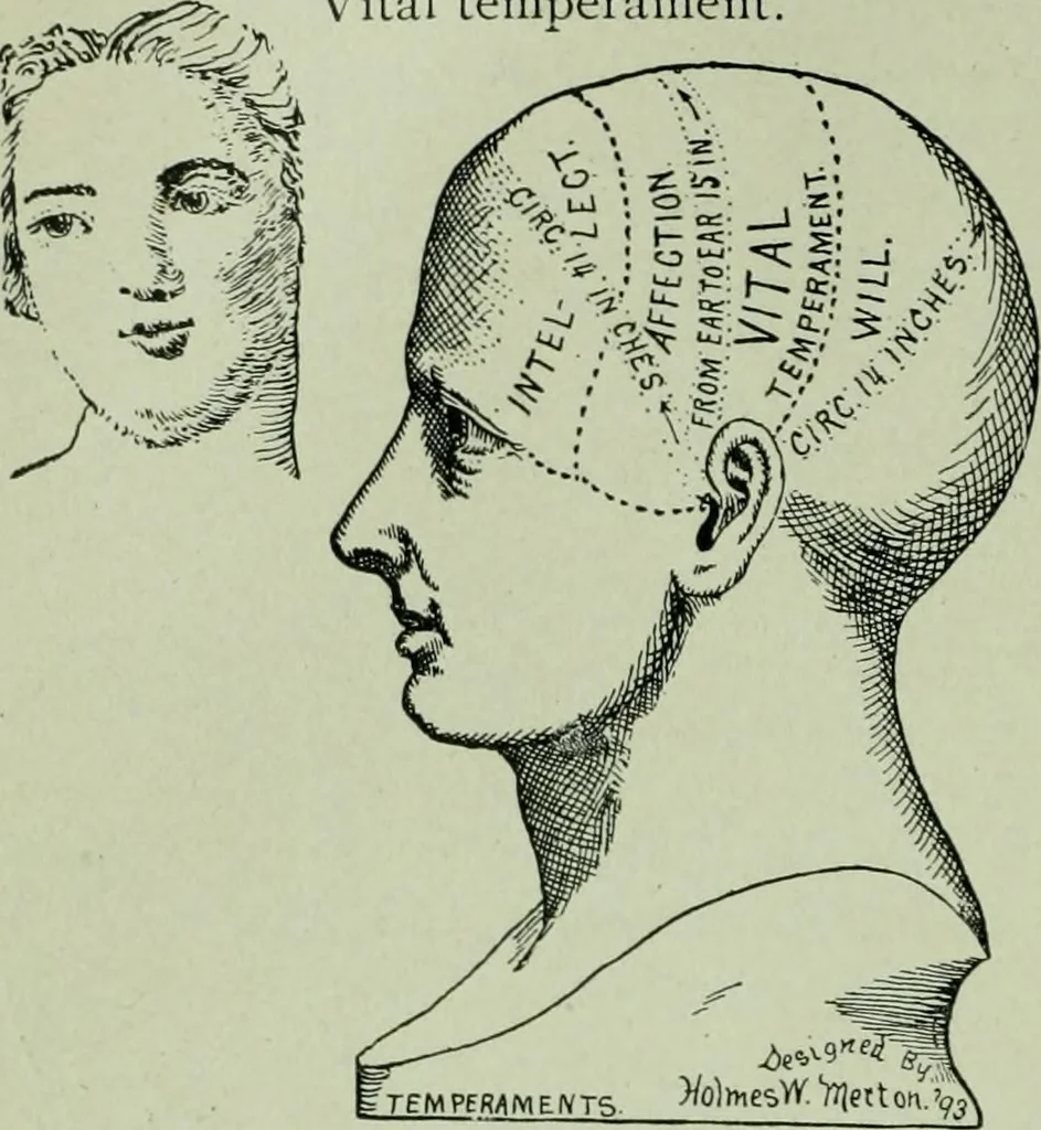An illustration from Descriptive mentality from the head, face and hand, 1899, leaf 18