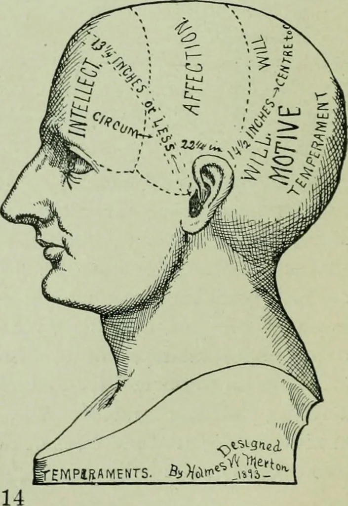 An illustration from Descriptive mentality from the head, face and hand, 1899, leaf 18