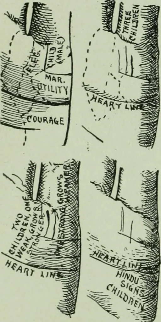 An illustration from Descriptive mentality from the head, face and hand, 1899, leaf 182