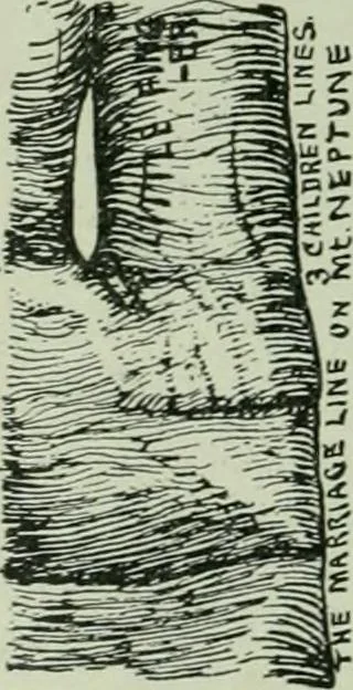 An illustration from Descriptive mentality from the head, face and hand, 1899, leaf 182