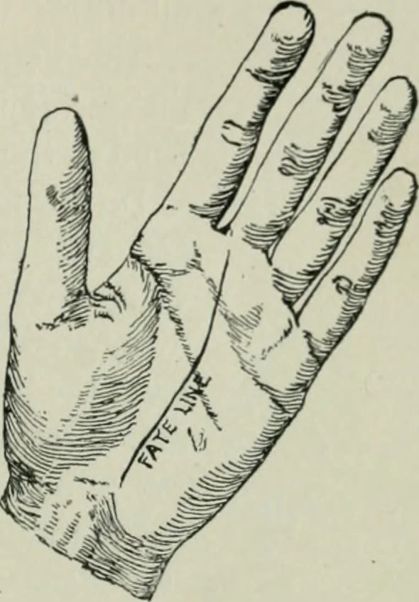 An illustration from Descriptive mentality from the head, face and hand, 1899, leaf 183