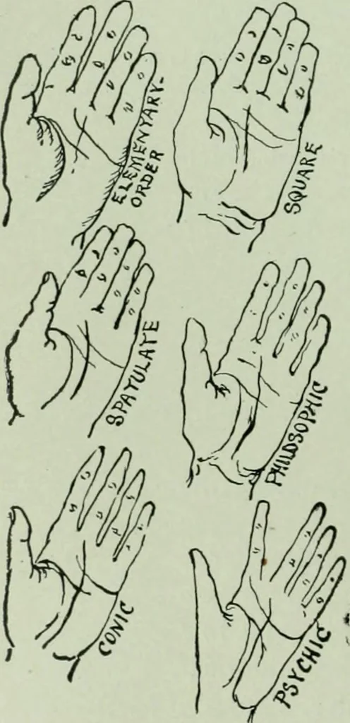 An illustration from Descriptive mentality from the head, face and hand, 1899, leaf 184