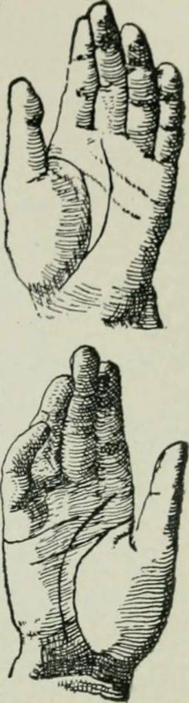 An illustration from Descriptive mentality from the head, face and hand, 1899, leaf 185