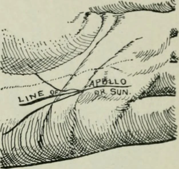 An illustration from Descriptive mentality from the head, face and hand, 1899, leaf 187