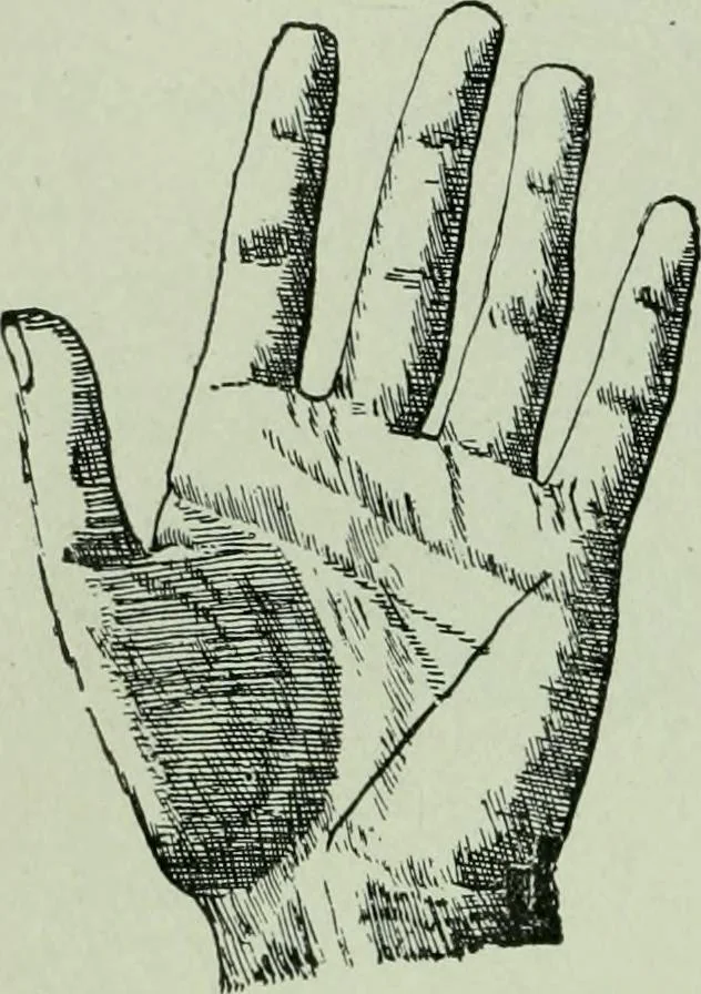 An illustration from Descriptive mentality from the head, face and hand, 1899, leaf 188