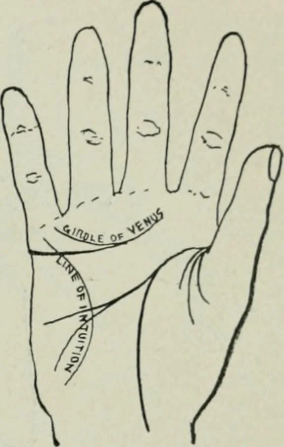 An illustration from Descriptive mentality from the head, face and hand, 1899, leaf 189