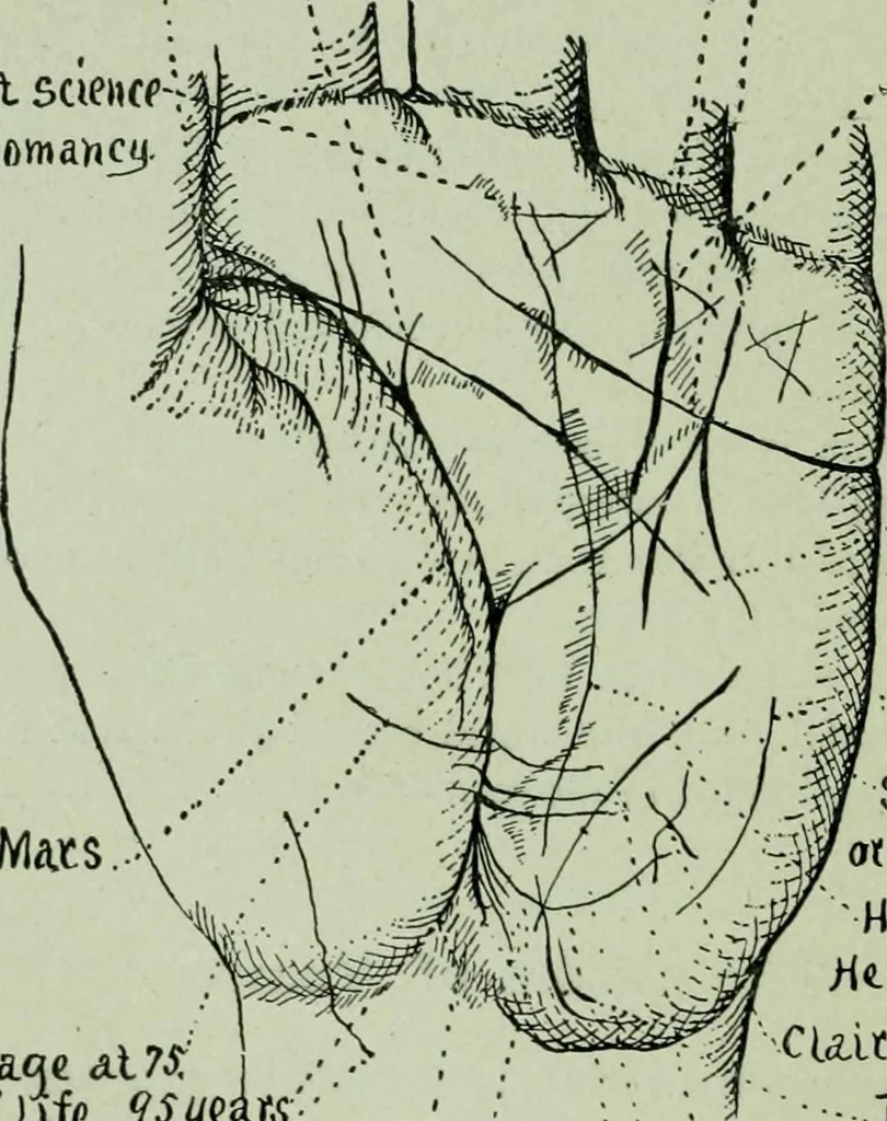 An illustration from Descriptive mentality from the head, face and hand, 1899, leaf 190