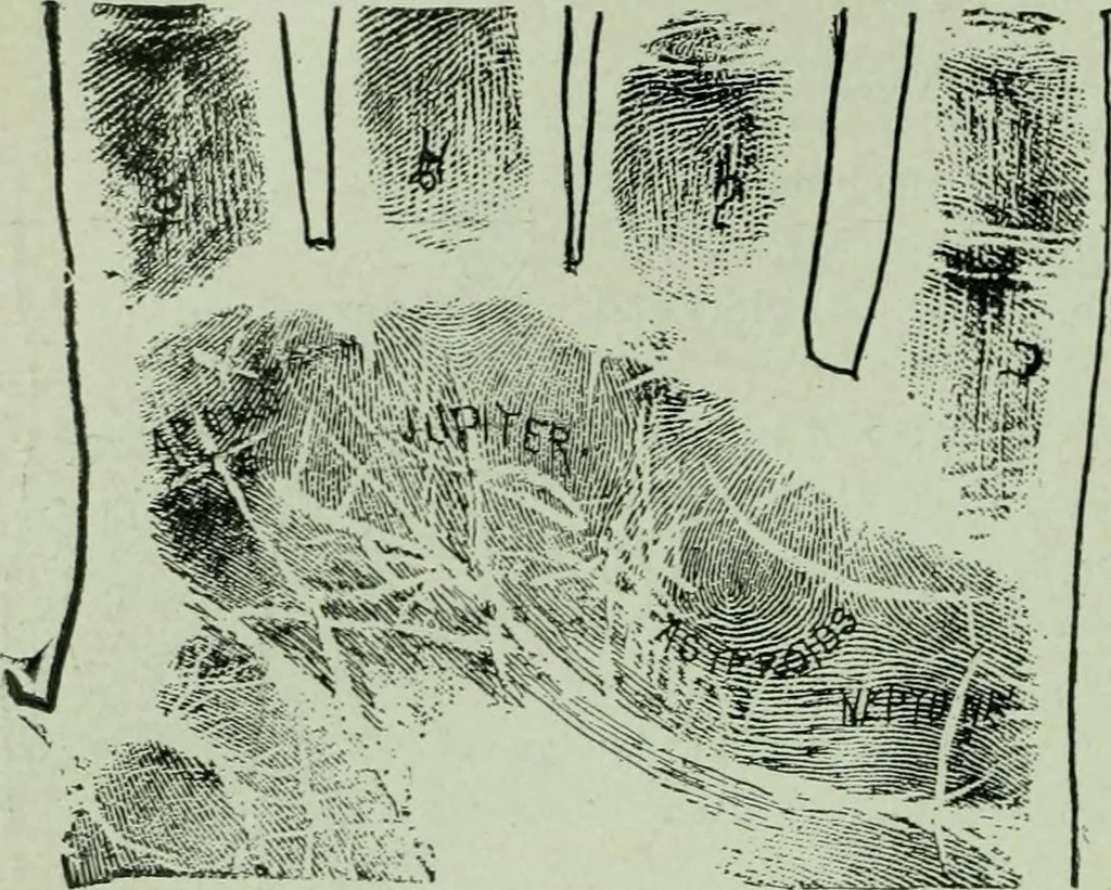 An illustration from Descriptive mentality from the head, face and hand, 1899, leaf 196