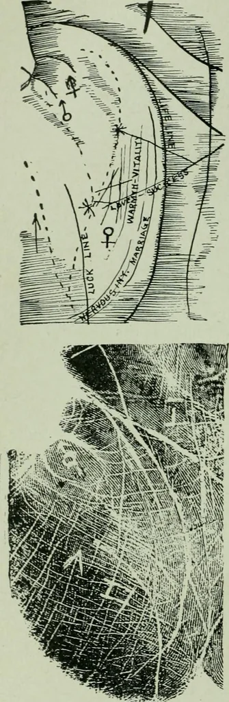 An illustration from Descriptive mentality from the head, face and hand, 1899, leaf 204