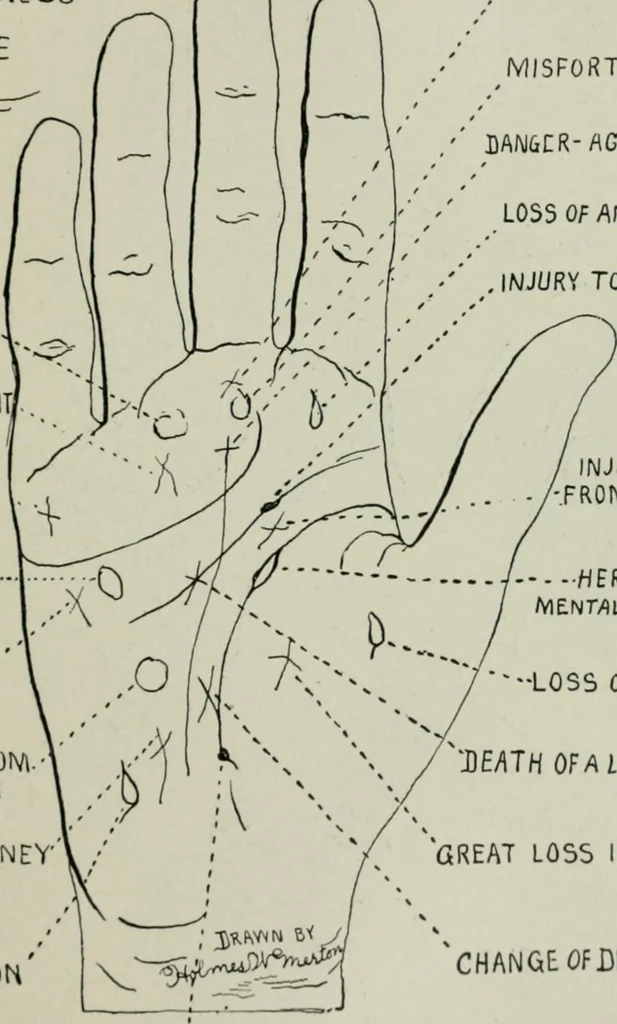An illustration from Descriptive mentality from the head, face and hand, 1899, leaf 205