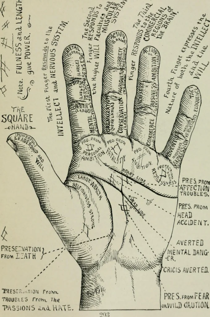 An illustration from Descriptive mentality from the head, face and hand, 1899, leaf 207