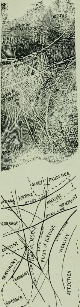 An illustration from Descriptive mentality from the head, face and hand, 1899, leaf 208