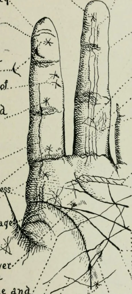 An illustration from Descriptive mentality from the head, face and hand, 1899, leaf 213