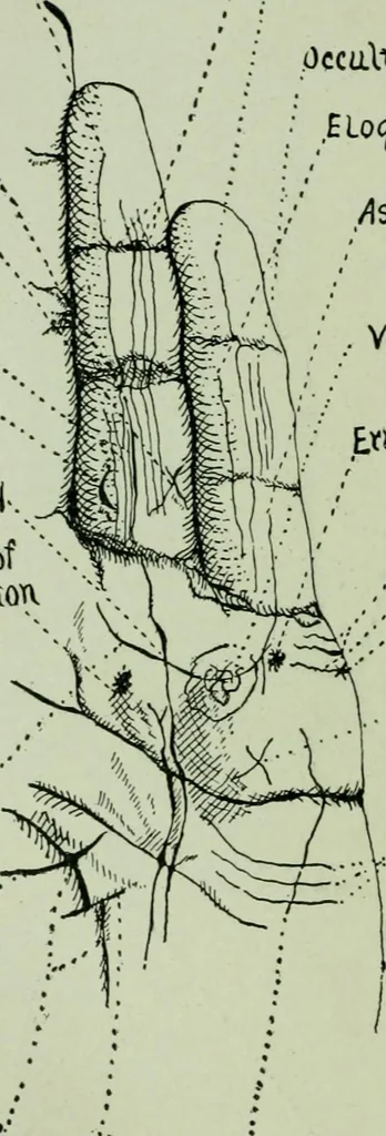 An illustration from Descriptive mentality from the head, face and hand, 1899, leaf 214