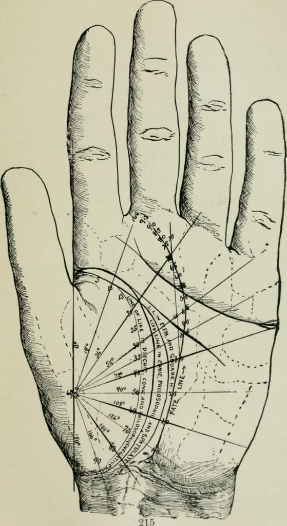 An illustration from Descriptive mentality from the head, face and hand, 1899, leaf 219