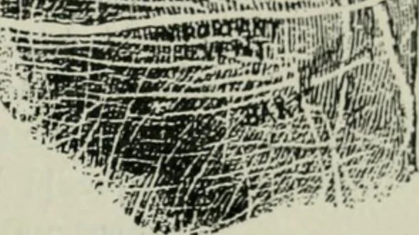 An illustration from Descriptive mentality from the head, face and hand, 1899, leaf 221