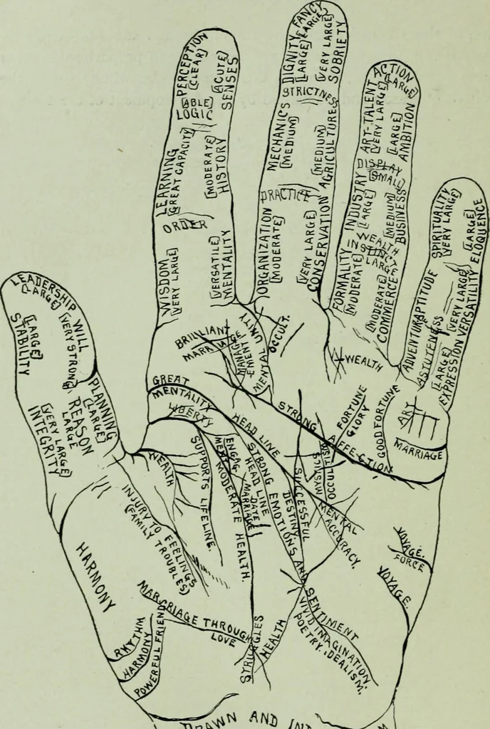 An illustration from Descriptive mentality from the head, face and hand, 1899, leaf 224